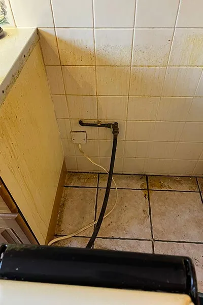 Bedeen Cleaning Services at work